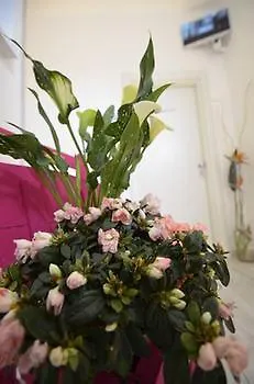 Guest house Di Ma Porto Cesareo